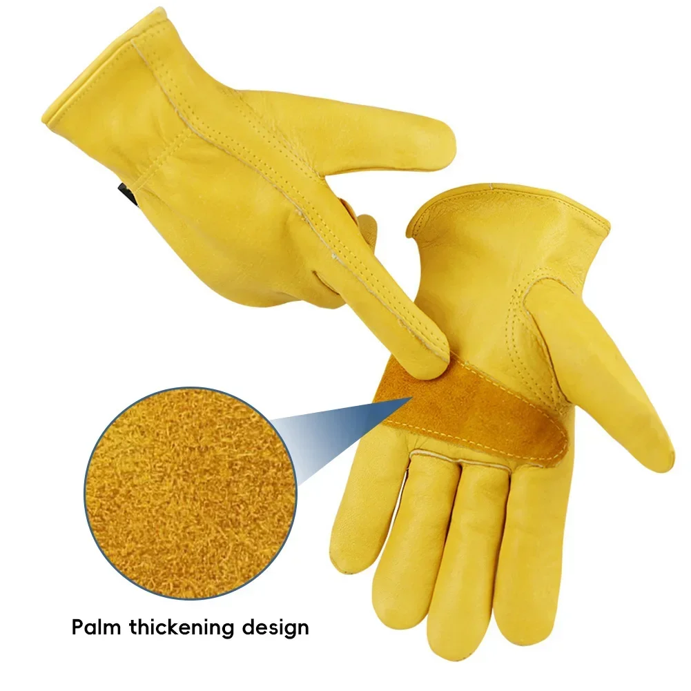 Sarung Tangan Kulit Anti Selip - Driving Gloves Leather ulasan dan harga