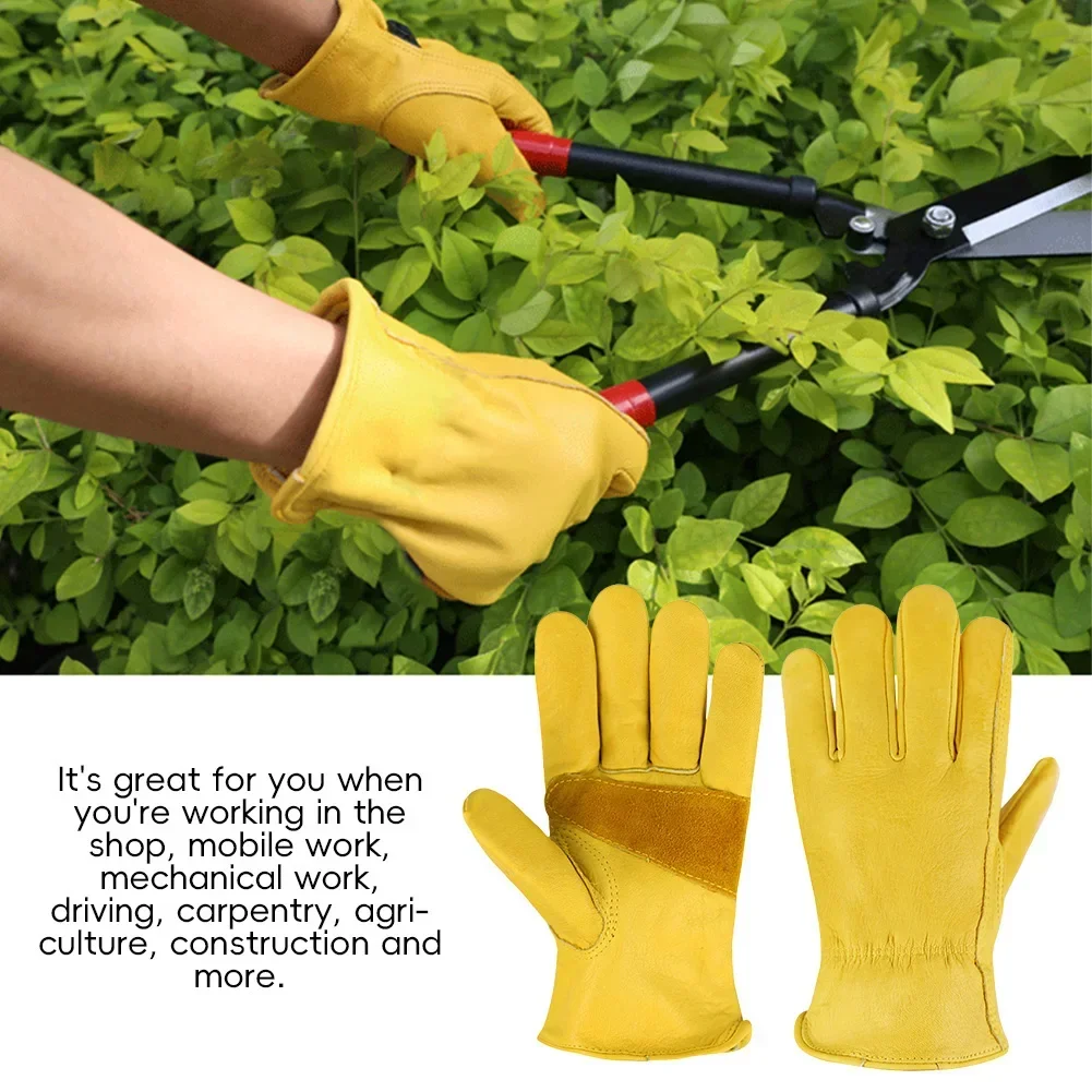 Sarung Tangan Kulit Anti Selip - Driving Gloves Leather ulasan dan harga